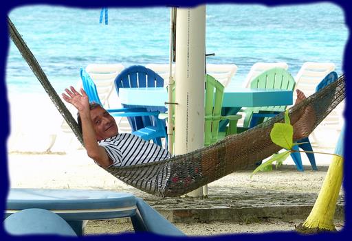 Cliquez pour agrandir l'image