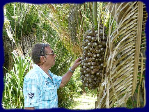 Cliquez pour agrandir l'image