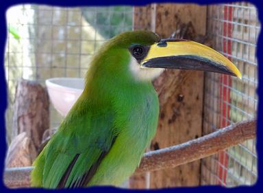 Cliquez pour agrandir l'image