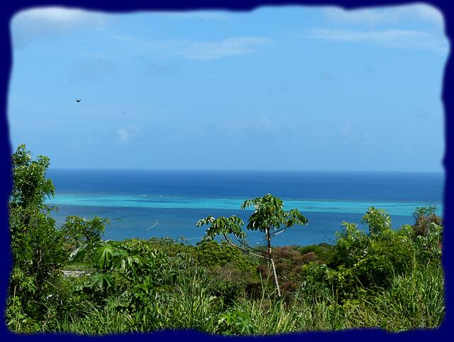 Cliquez pour agrandir l'image