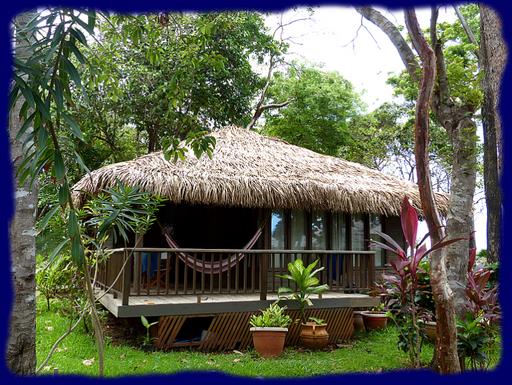 Cliquez pour agrandir l'image