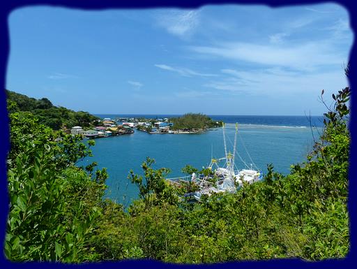 Cliquez pour agrandir l'image