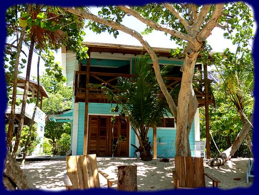 Cliquez pour agrandir l'image