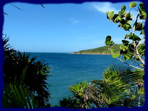 Cliquez pour agrandir l'image