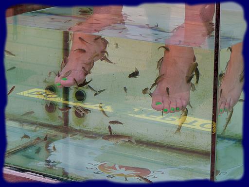 Cliquez pour agrandir l'image