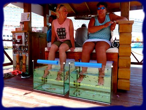 Cliquez pour agrandir l'image