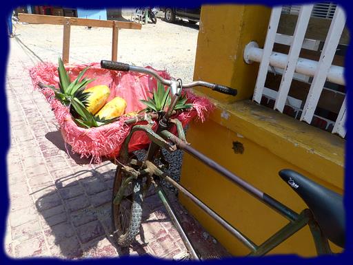 Cliquez pour agrandir l'image