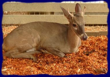 Cliquez pour agrandir l'image