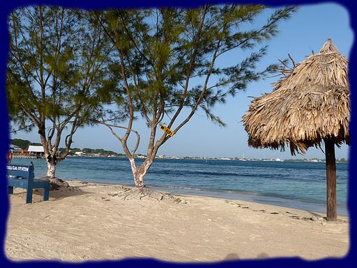 Cliquez pour agrandir l'image