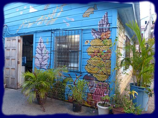 Cliquez pour agrandir l'image