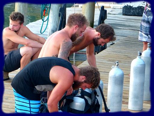 Cliquez pour agrandir l'image