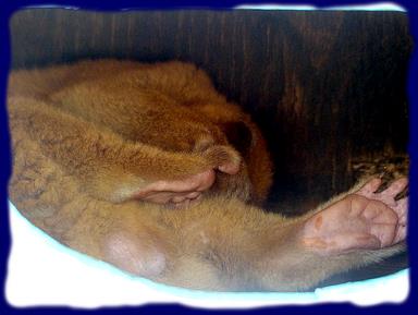 Cliquez pour agrandir l'image