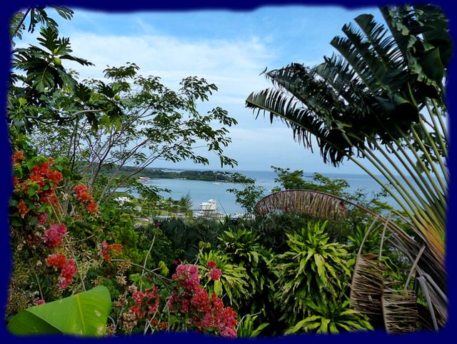 Cliquez pour agrandir l'image