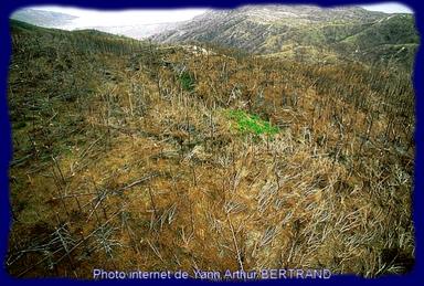 Cliquez pour agrandir l'image