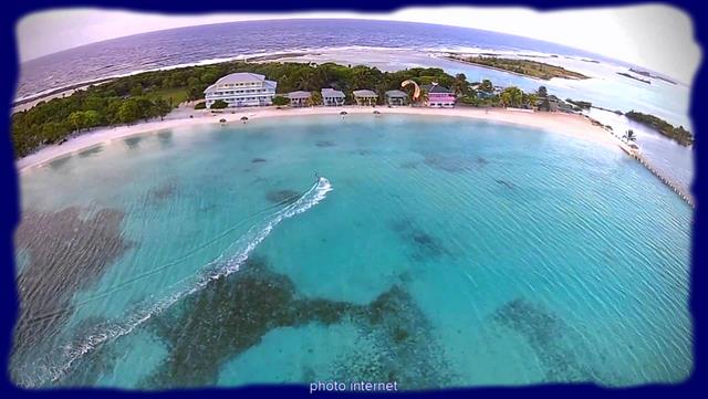 Cliquez pour agrandir l'image