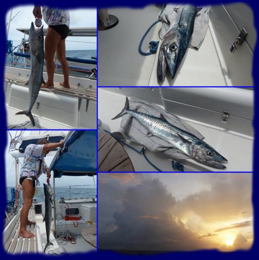 Cliquez pour agrandir l'image