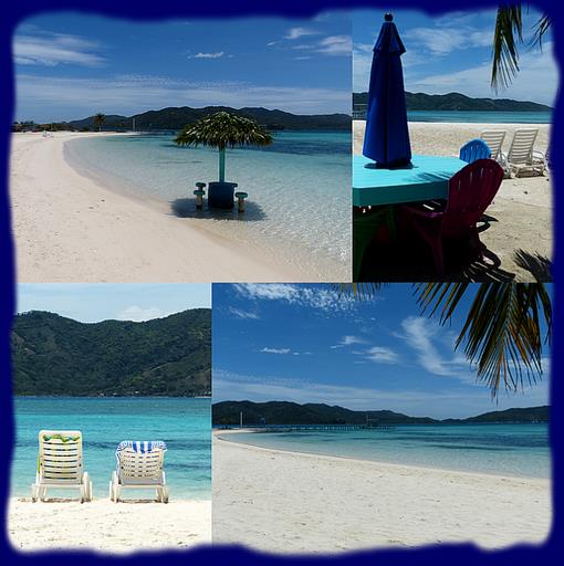 Cliquez pour agrandir l'image