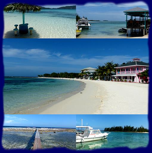 Cliquez pour agrandir l'image