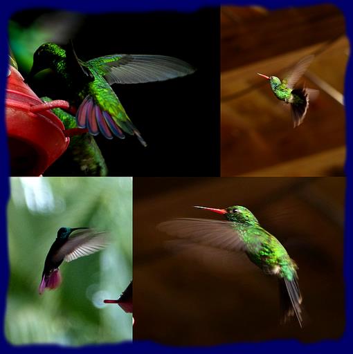 Cliquez pour agrandir l'image