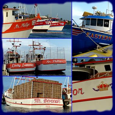 Cliquez pour agrandir l'image