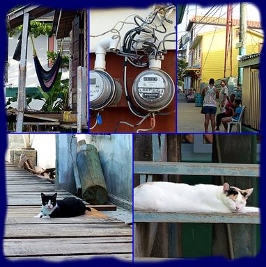 Cliquez pour agrandir l'image