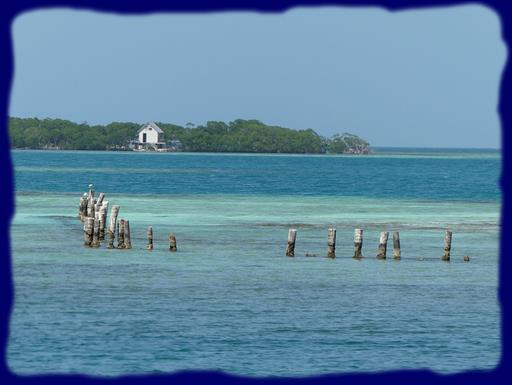 Cliquez pour agrandir l'image