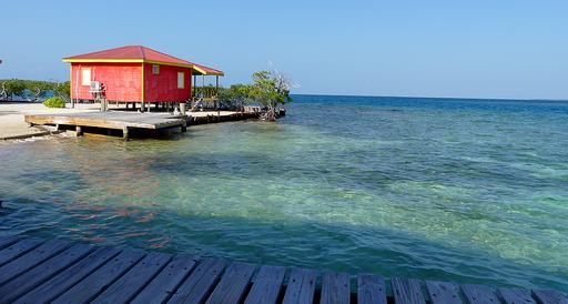 Cliquez pour agrandir l'image