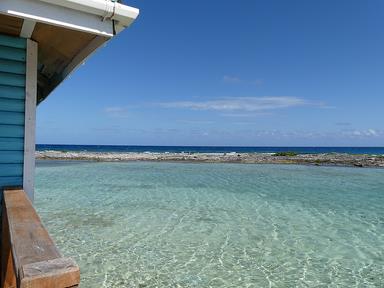 Cliquez pour agrandir l'image