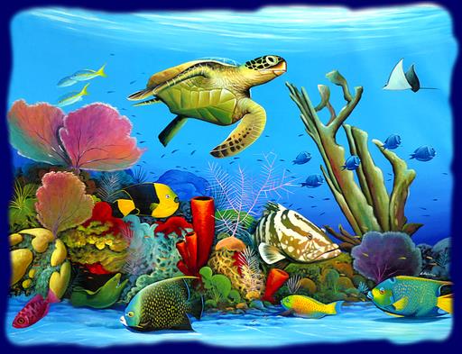 Cliquez pour agrandir l'image