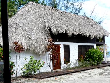 Cliquez pour agrandir l'image