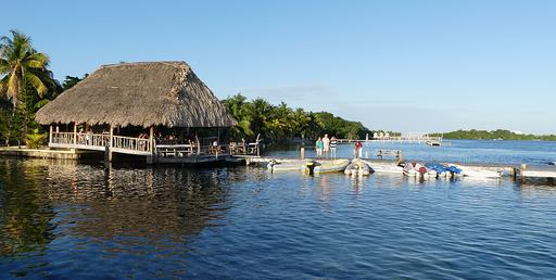 Cliquez pour agrandir l'image