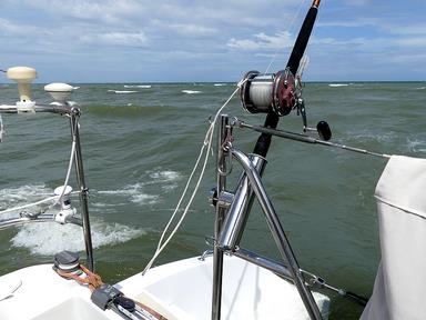 Cliquez pour agrandir l'image