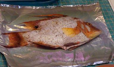 Cliquez pour agrandir l'image