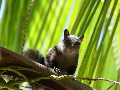 Cliquez pour agrandir l'image