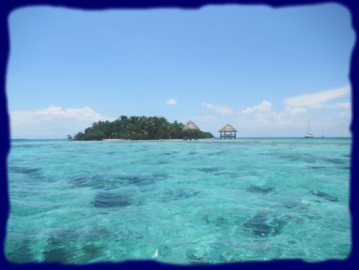 Cliquez pour agrandir l'image