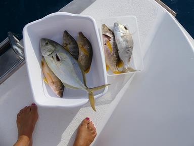 Cliquez pour agrandir l'image