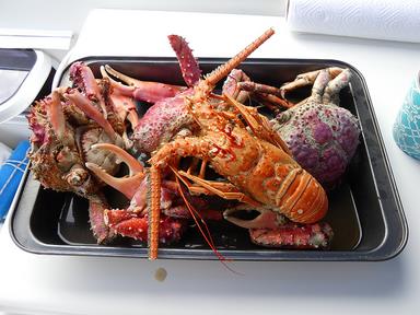 Cliquez pour agrandir l'image