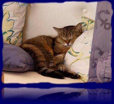 Cliquez pour agrandir l'image