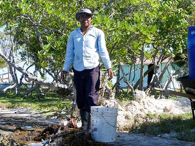 Cliquez pour agrandir l'image