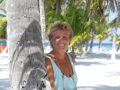 Cliquez pour agrandir l'image