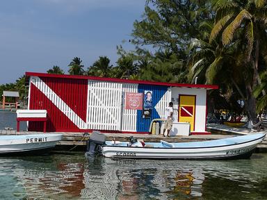 Cliquez pour agrandir l'image