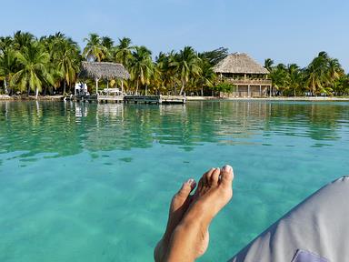 Cliquez pour agrandir l'image