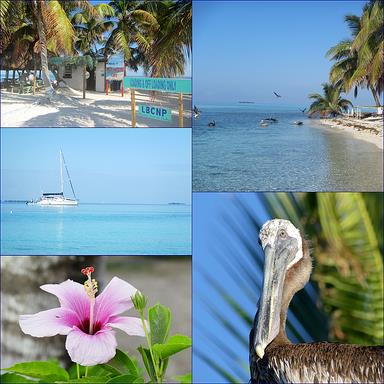 Cliquez pour agrandir l'image