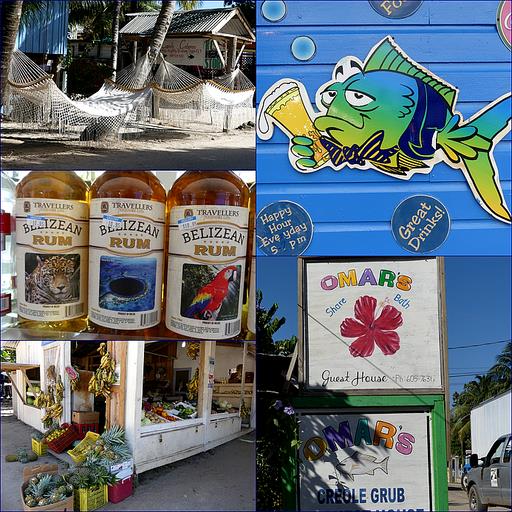 Cliquez pour agrandir l'image