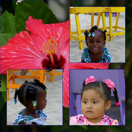 Cliquez pour agrandir l'image