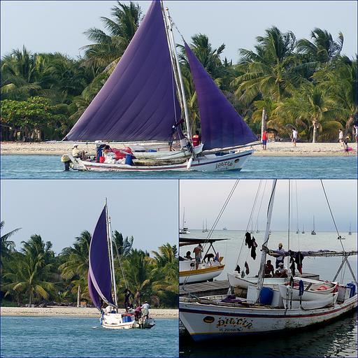 Cliquez pour agrandir l'image