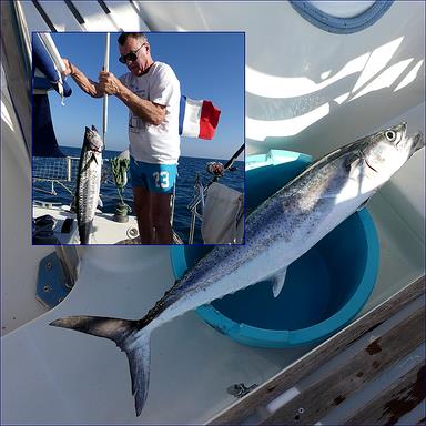 Cliquez pour agrandir l'image