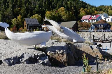 Cliquez pour agrandir l'image