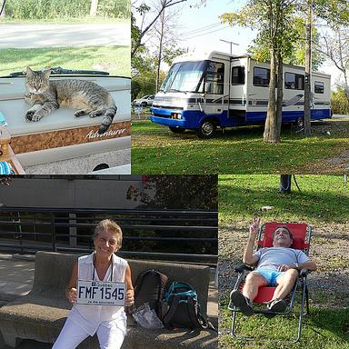 Cliquez pour agrandir l'image