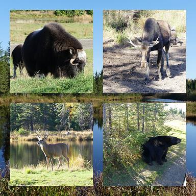 Cliquez pour agrandir l'image